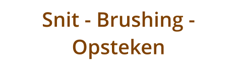 Snit - Brushing - Opsteken